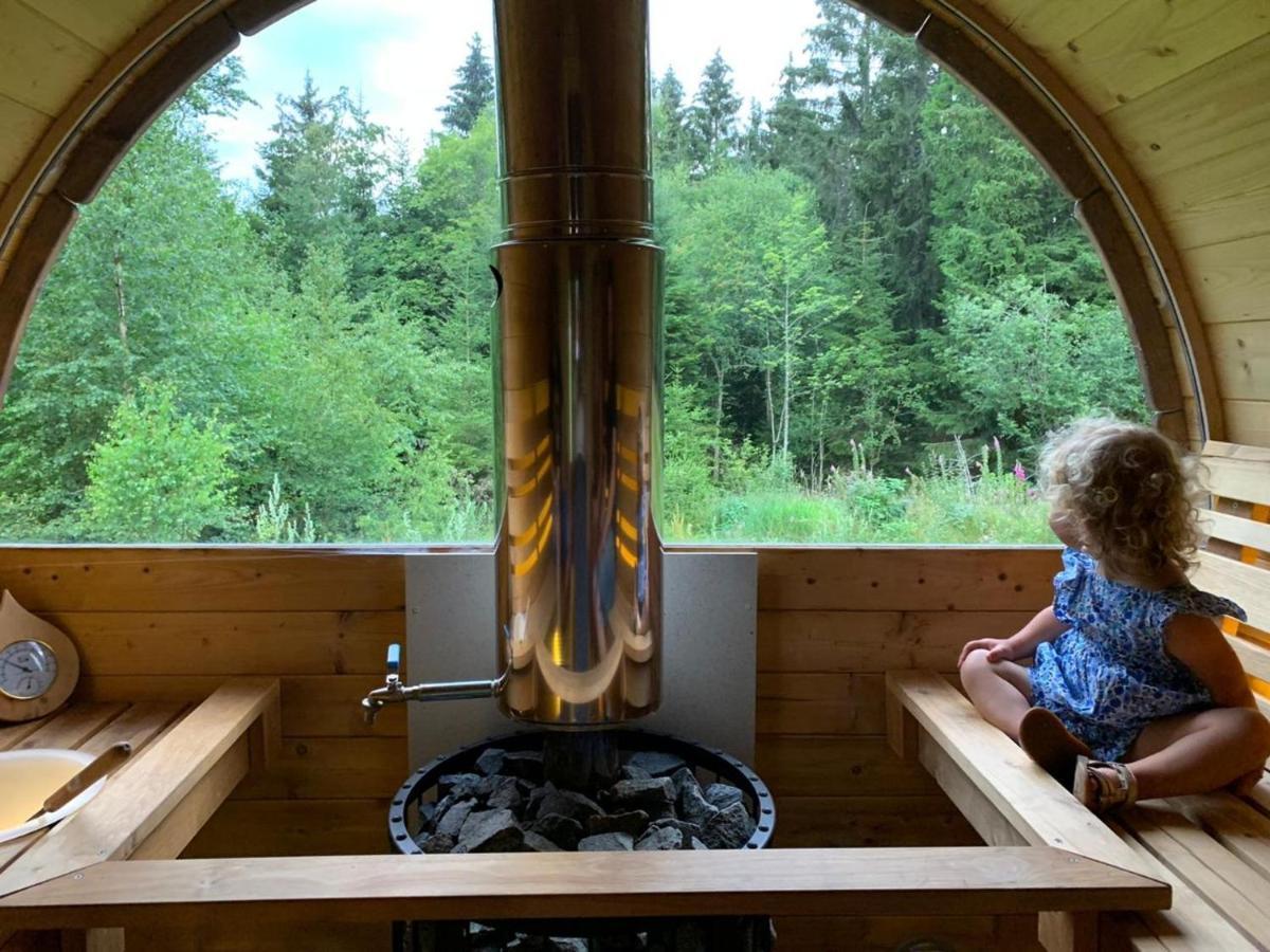 Chalet De Martimprey - Chalets - Gites - Chambres D' Hotes Et Spas Gérardmer Buitenkant foto